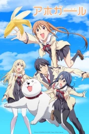 Aho Girl