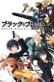 Black Bullet