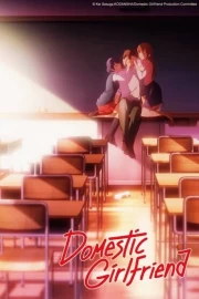 Domestic na Kanojo
