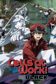 Hataraku Saibou Black (TV)