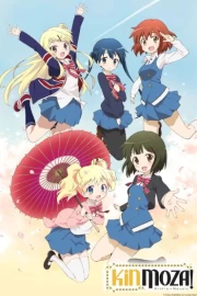 Kiniro Mosaic