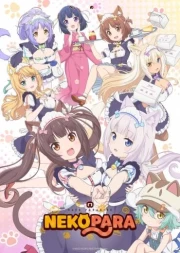 Nekopara (TV)