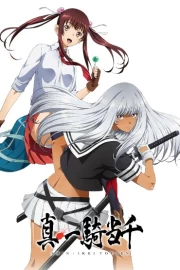 Shin Ikkitousen