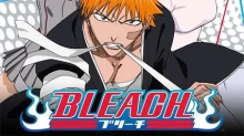 Bleach
