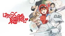 Hataraku Saibou 2nd Season
