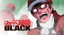 Hataraku Saibou Black (TV)