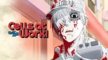 Hataraku Saibou