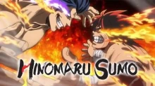 Hinomaru Zumou