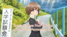 Seishun Buta Yarou wa Odekake Sister no Yume wo Minai