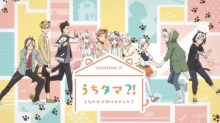 Uchi Tama?! Uchi no Tama Shirimasen ka?