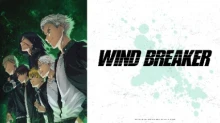 Wind Breaker